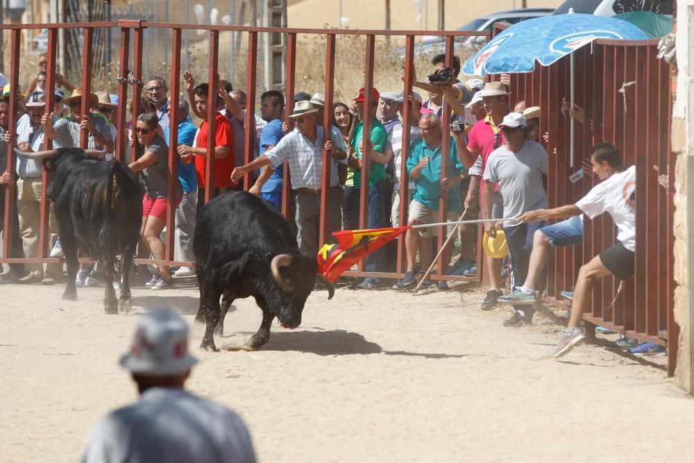 Encierro urbano en Villaescusa