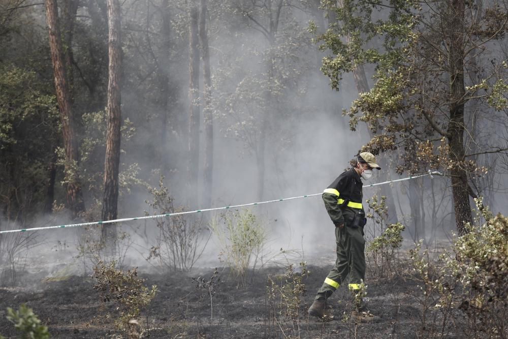 Incendi a Riudellots de la Selva