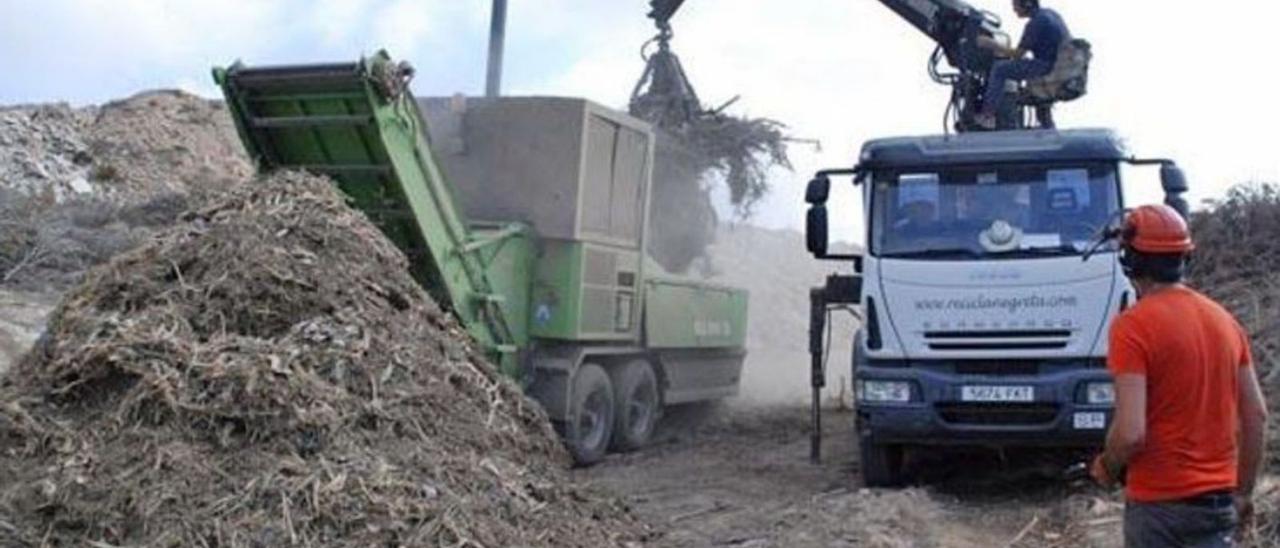 Operarios triturando los restos de poda. | | M. S.