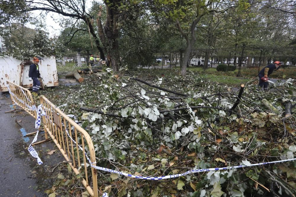 Las consecuencias de la tormenta en Avilés.