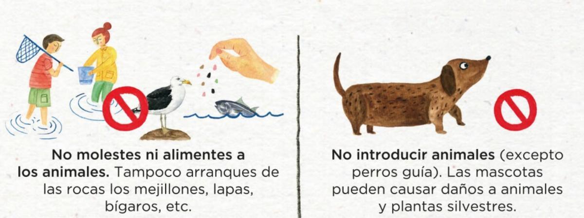 Prohibiciones en las islas Cíes.