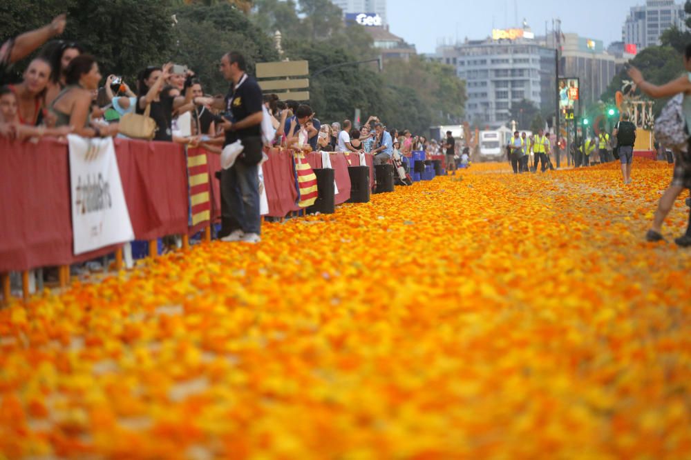 Batalla de Flores 2017