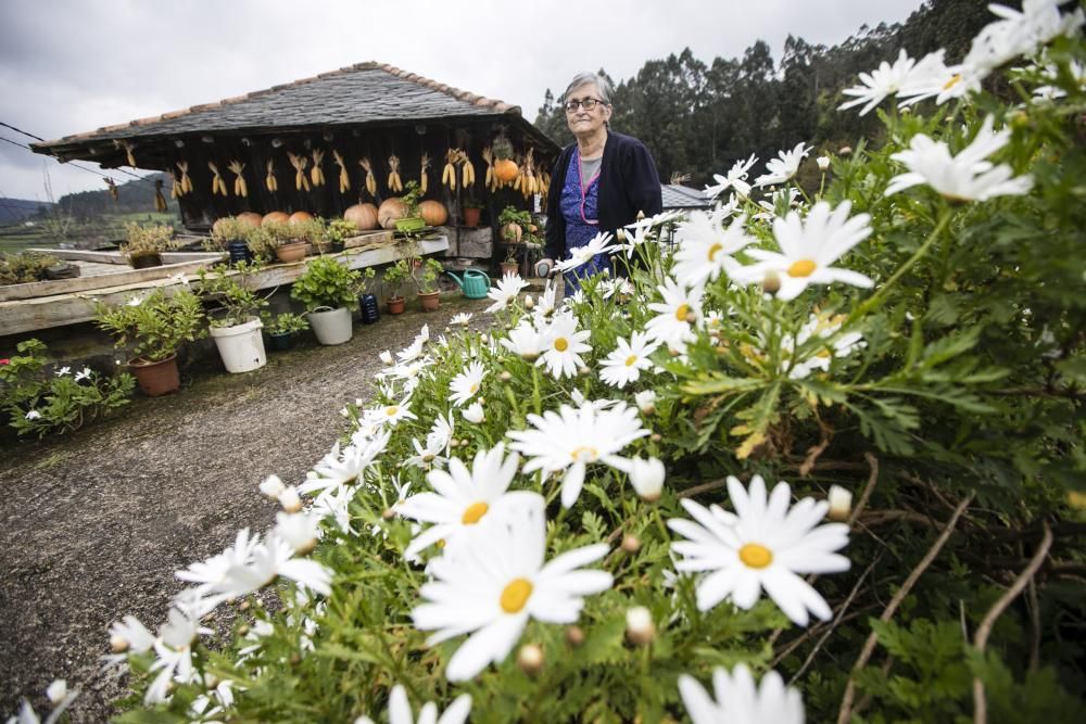 Los concejos del occidente de Asturias, considerados como los más saludables