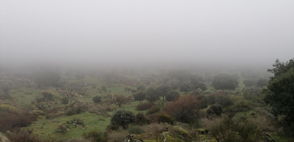 Fotogalería | Mañana de niebla en el norte de Cáceres