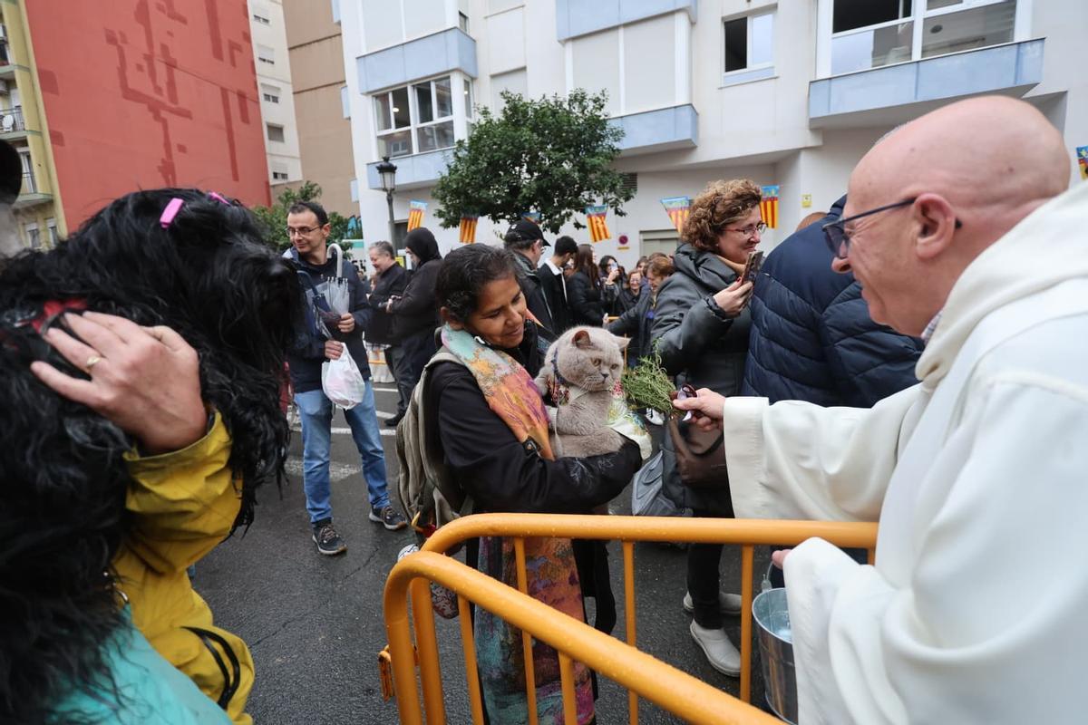 Bendición de animales por Sant Antoni en la calle Sagunt de València