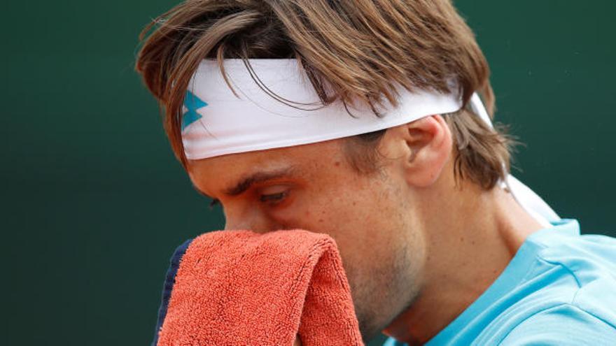 David Ferrer