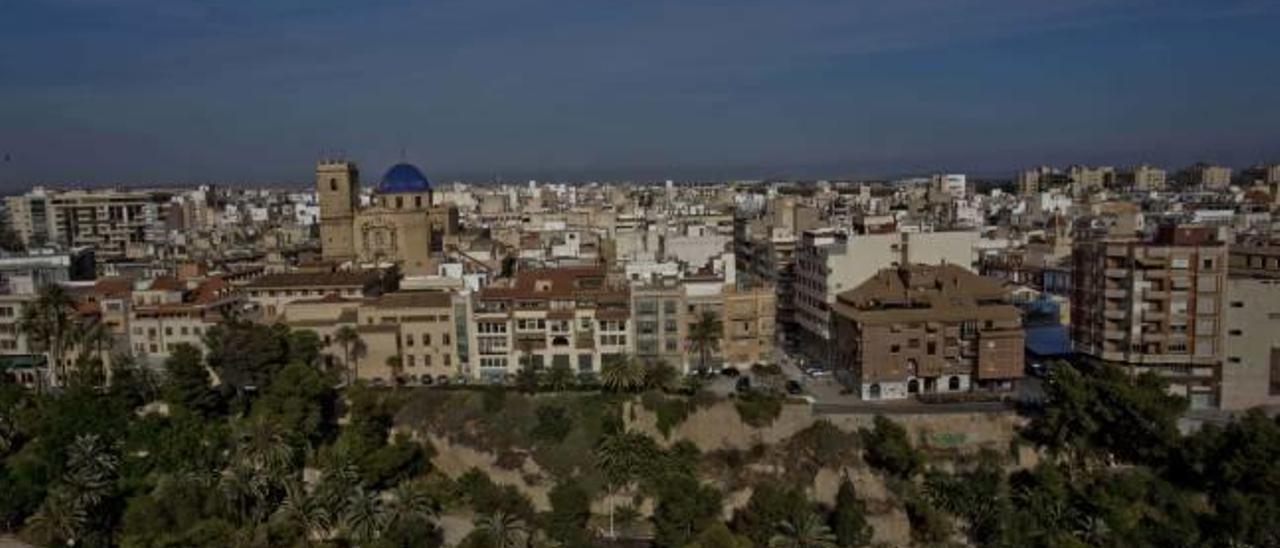 Vistas de la ciudad de Elche con el Palmeral en un primer plano y los edificios de fondo.