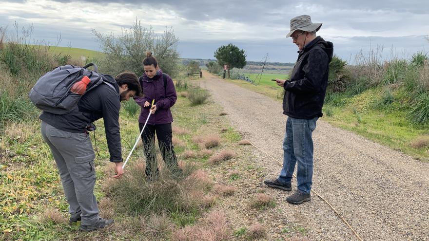 La UCO analiza la biodiversidad y la capacidad de absorción de carbono de la vía verde de la campiña