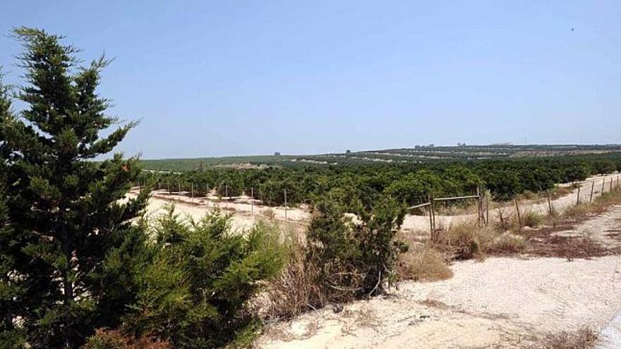 Vista parcial de la zona de Almoradí Sur donde se ubica el suelo que vendió el alcalde .