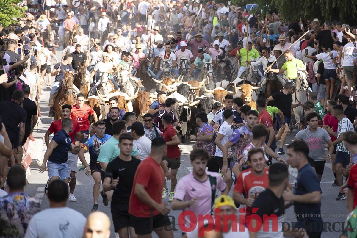 El segundo encierro de las Fiestas de Moratalla se salda con un herido