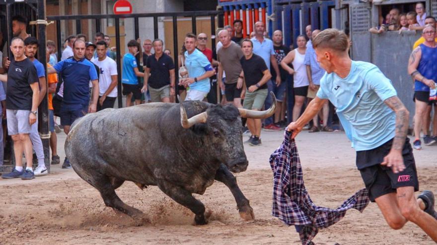 El balance del apartado taurino en las fiestas de Nules: Notable en juego y sobresaliente en presentación