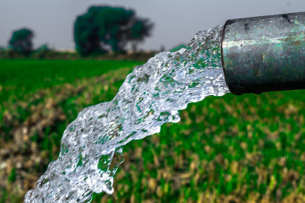 Algunos aguatenientes especulan con el agua que consiguieron gratis.