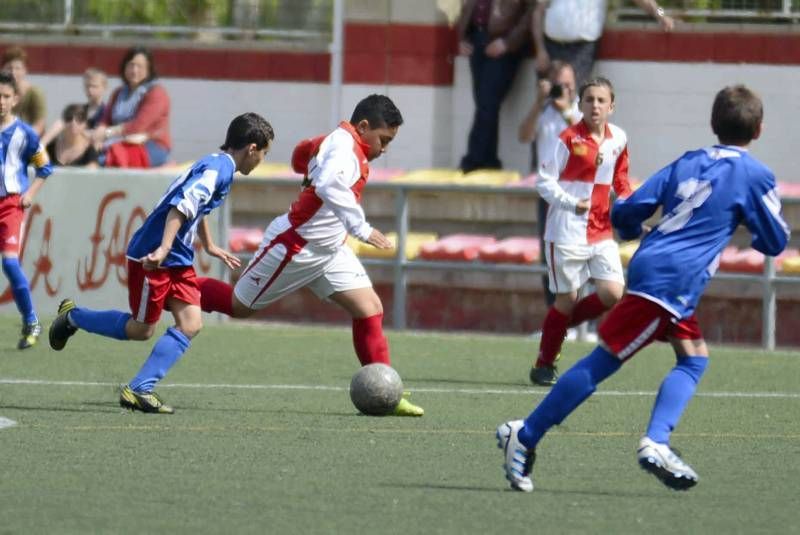 FÚTBOL: Hernán Cortés - San Gregorio (1ª Alevín grupo 2)