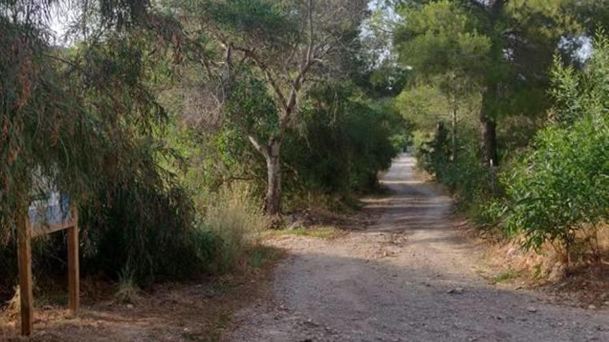 El Camí del Molí, uno de los que van a mejorarse.