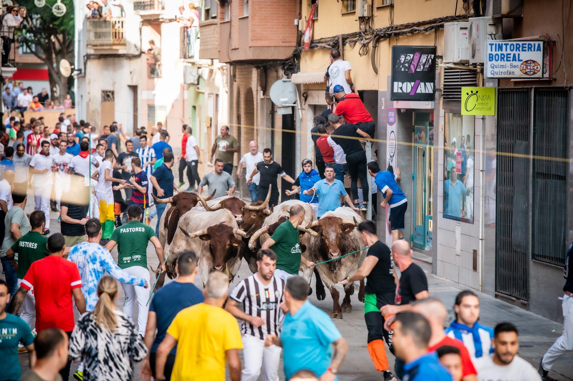 Las mejores imágenes del encierro de Couto de Fornilhos y Santa Teresa en Onda, el segundo de la Fira