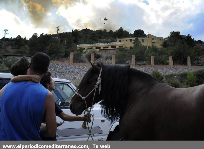 GALERIA DE IMÁGENES  - INCENDIO FORESTAL EN LA VALL