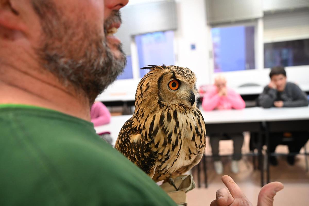 Terapia con aves rapaces para personas con diversidad funcional