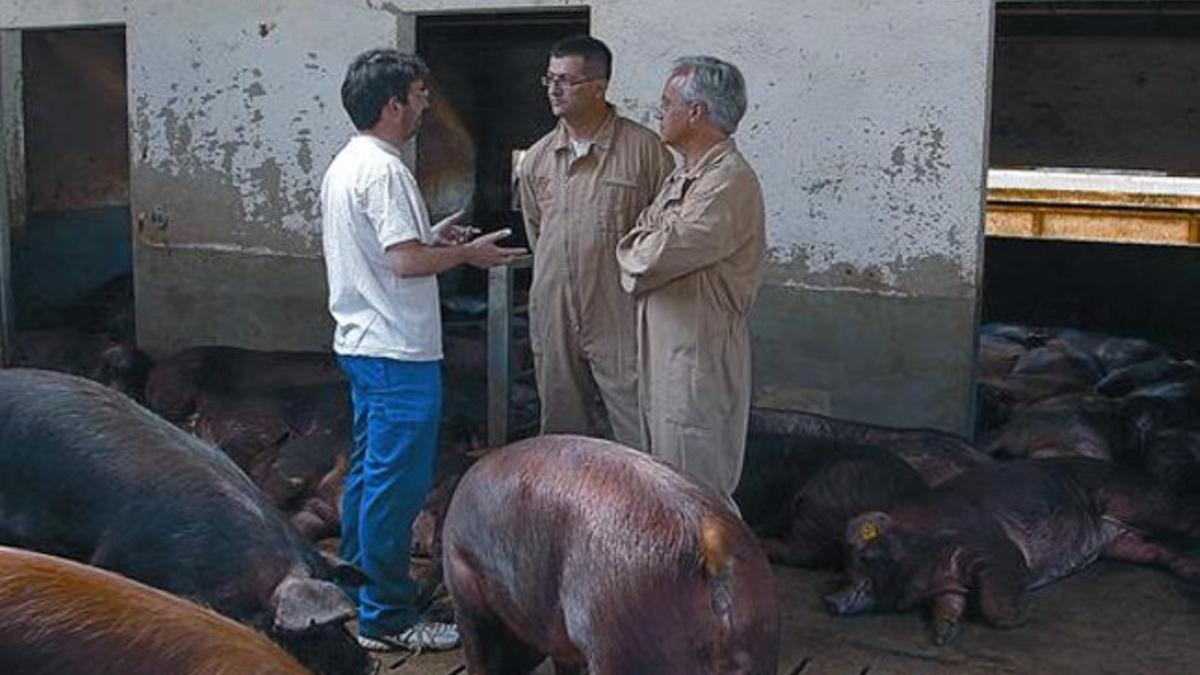 Jordi Évole, durante la visita que realiza a una granja porcina en el reportaje '¿Qué comemos?'.