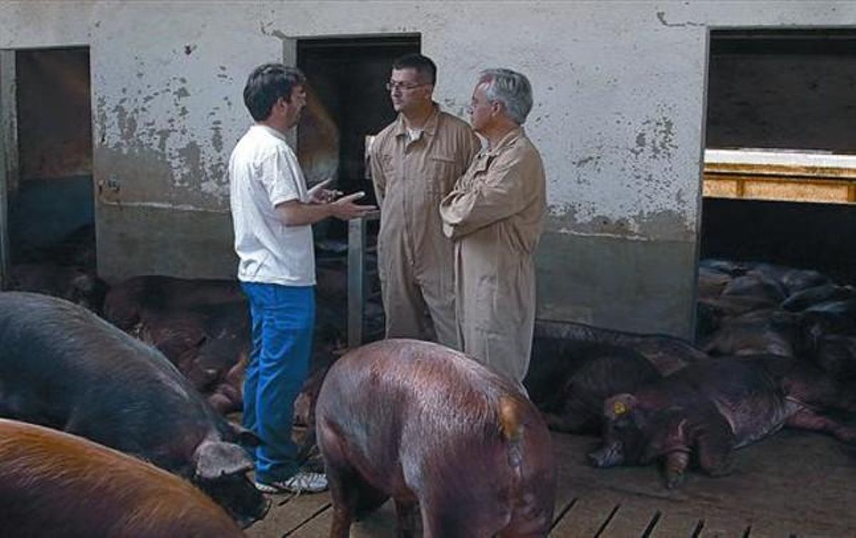 Jordi Évole, durant la visita que realitza en una granja porcina en el reportatge ’¿Qué comemos?’.