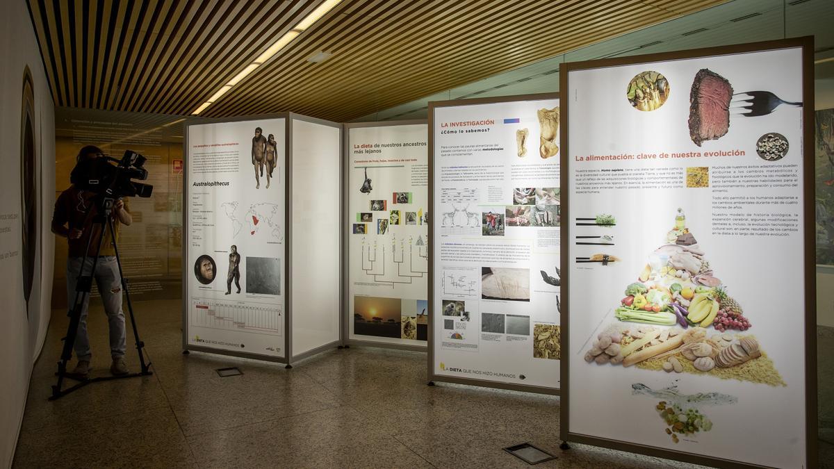 Museo de la Evolución Humana en Burgos