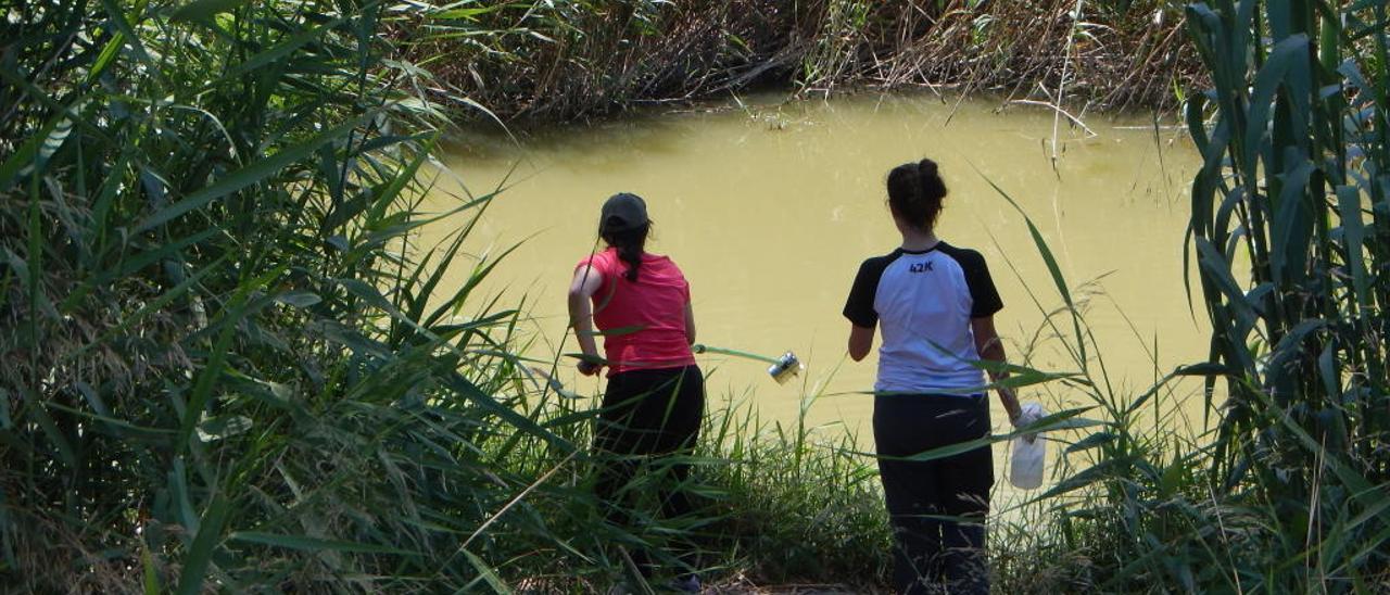 Recogiendo muestras en el azud de San Antonio, vinculado al río Segura.