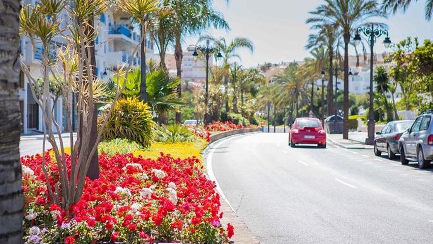 Imagen de una zona ajardinada de Estepona.