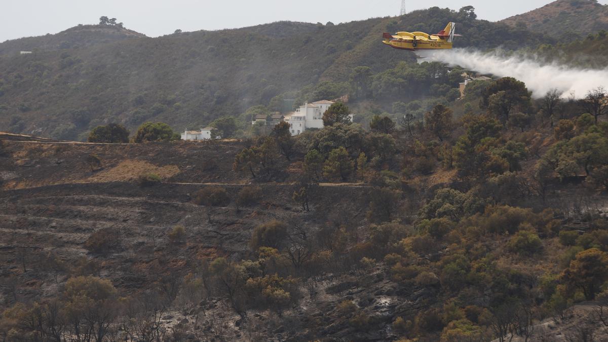 Un incendio en Sierra Bermeja provoca el desalojo de un millar personas en Estepona, Jubrique y Genalguacil