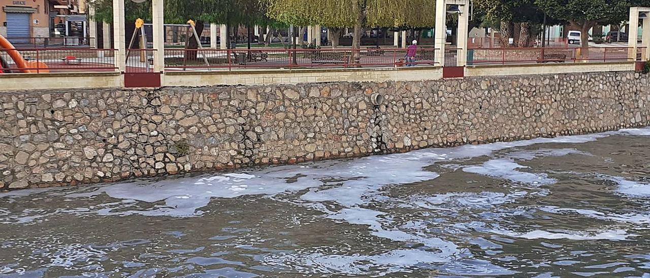 Imagen de la espuma en el agua del río Segura a su paso por Rojales. | INFORMACIÓN