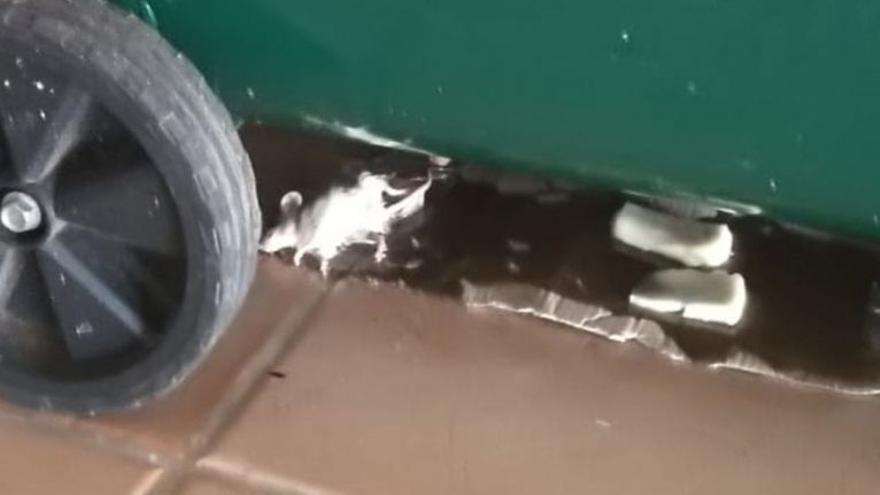 Una vecina de un barrio de Lanzarote denuncia que hay &quot;un foco de infección&quot; con ratas y pulgas