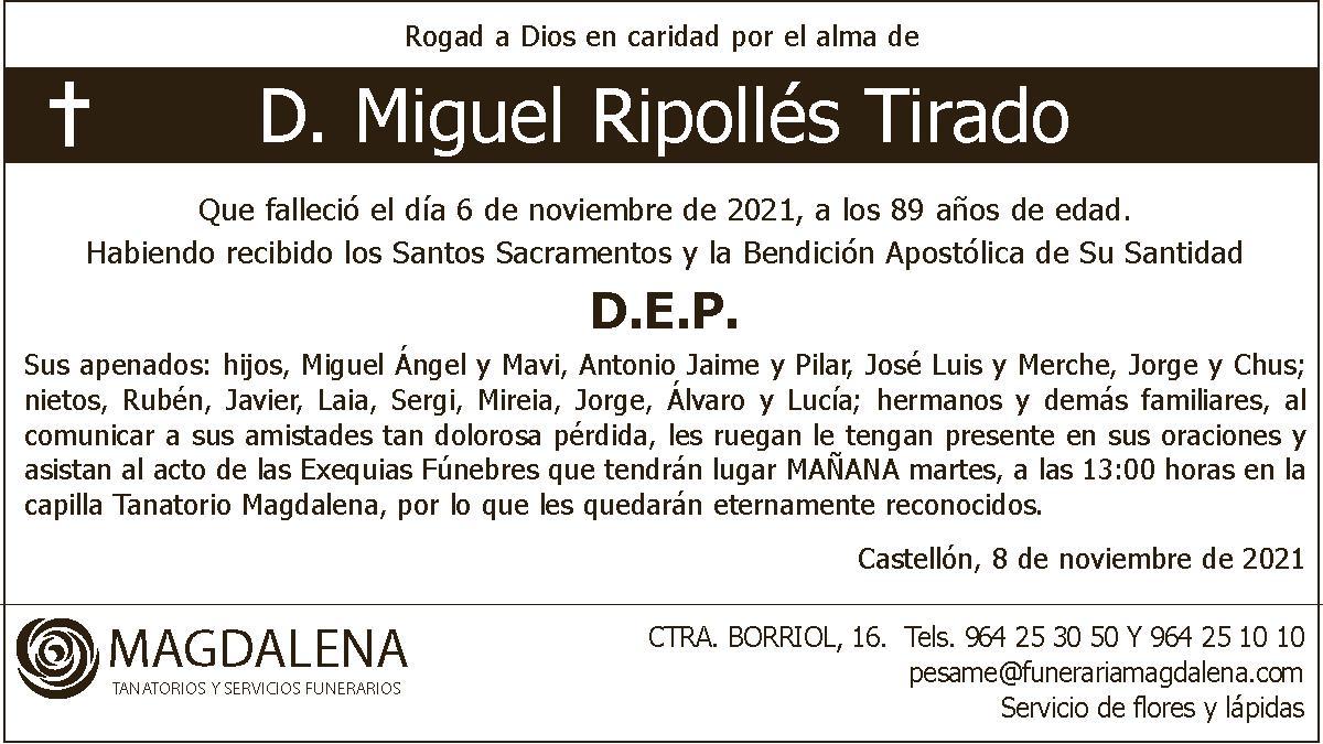 D. Miguel Ripollés Tirado