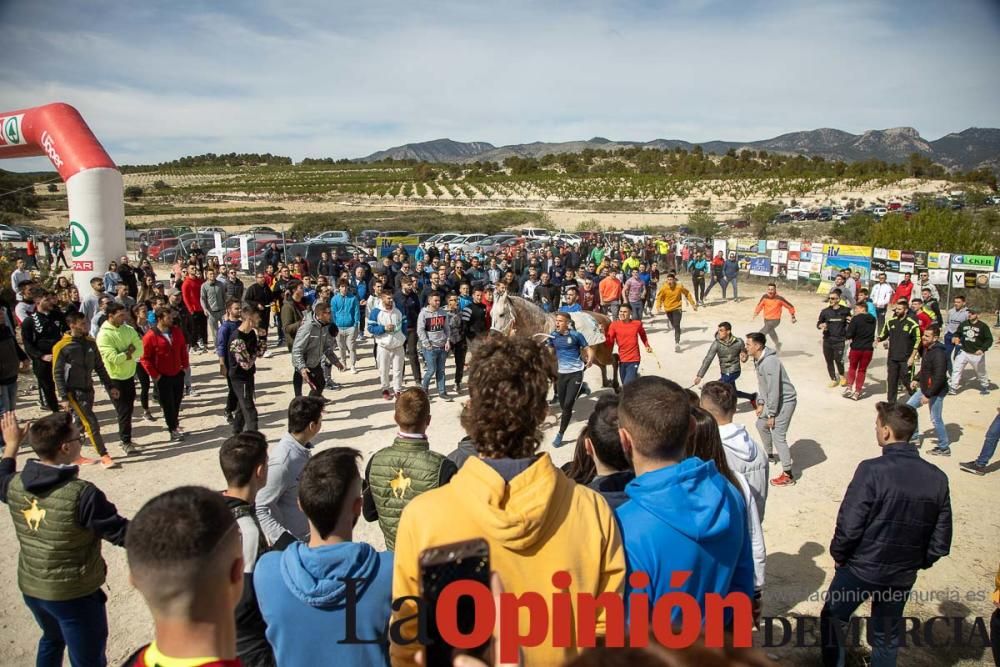 Carrera de entrenamiento de los Caballos del Vino