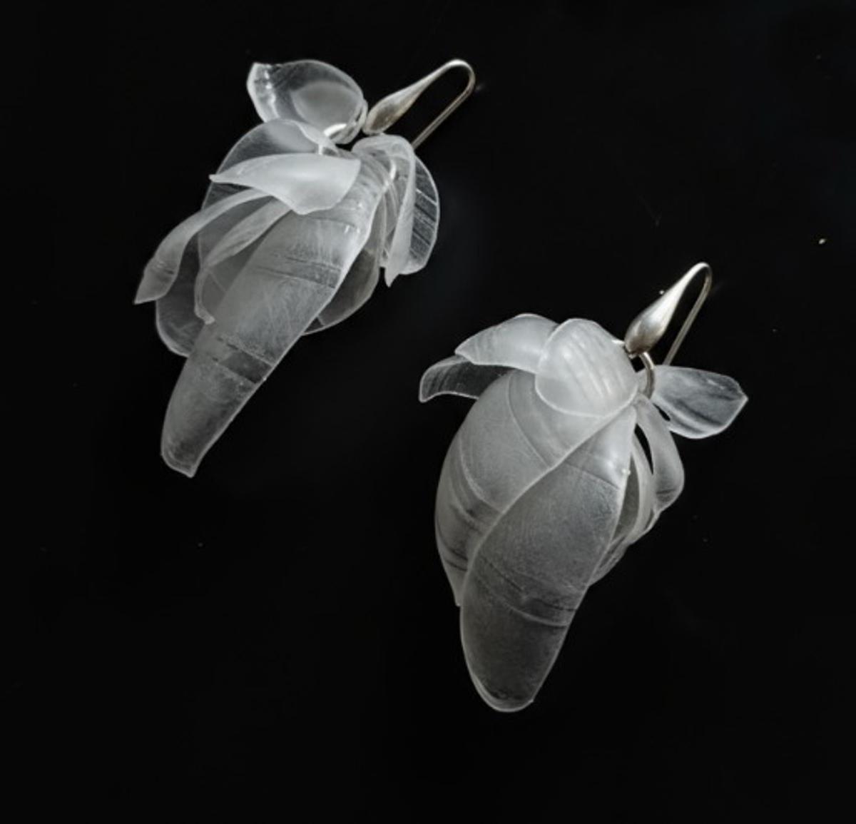 Dues joies del projecte Tamanit