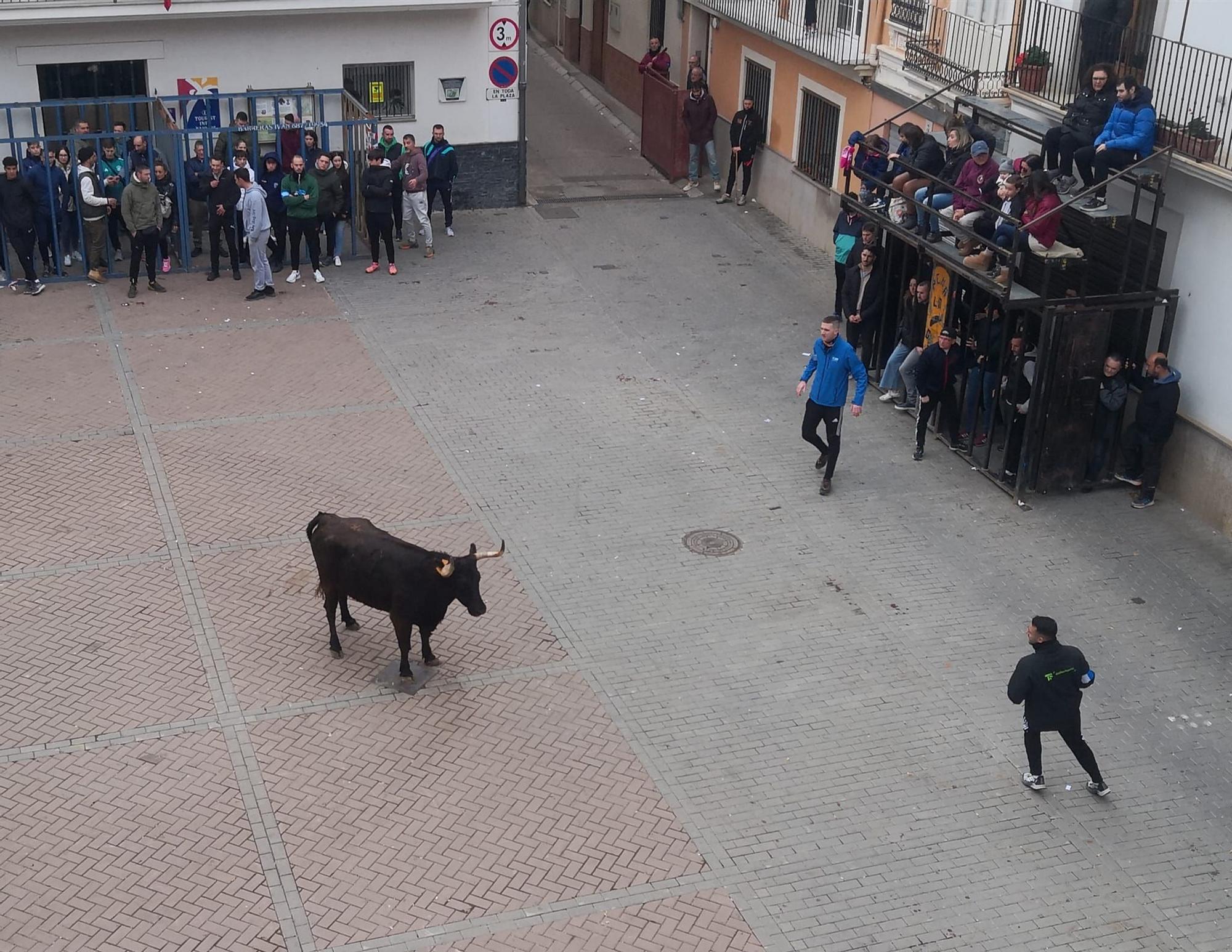 Navajas festeja a San Antón