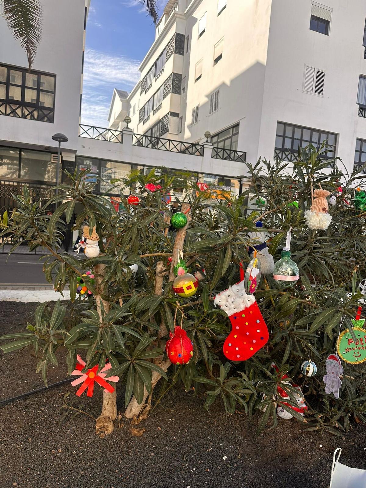 Escolares de Arrecife decoran los árboles de sus barrios Escolares de Arrecife decoran los árboles de sus barrios