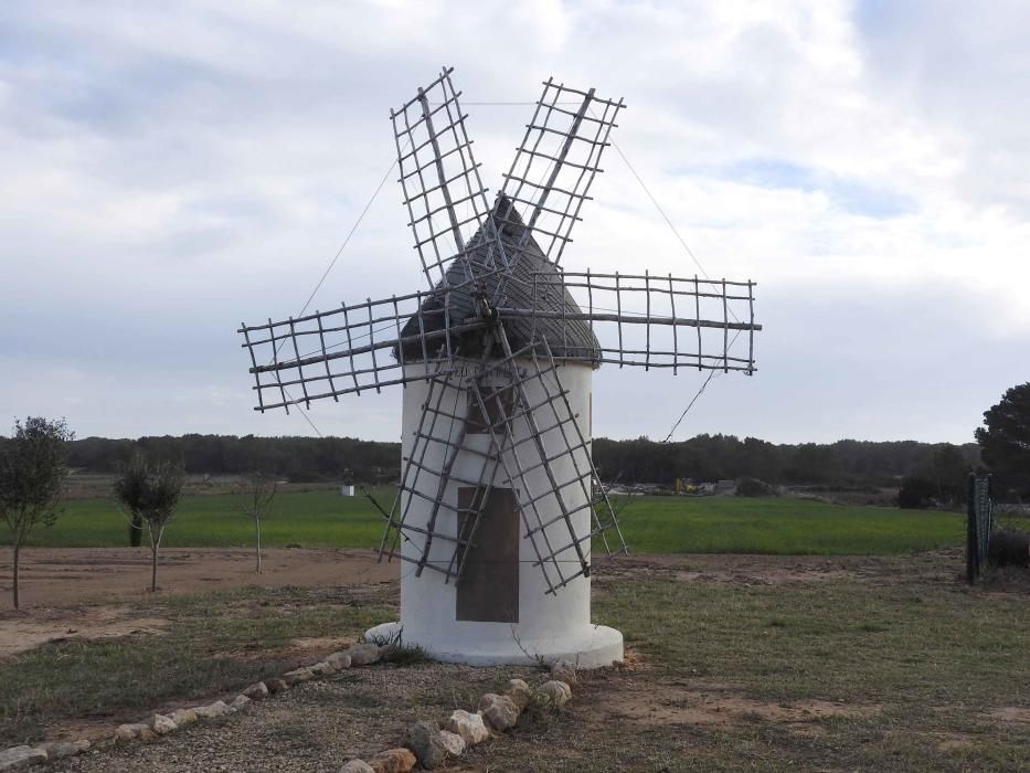 Un jardín con Formentera en miniatura