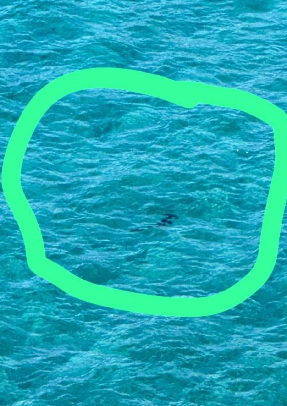 Bandera roja en la playa de Patalavaca por la aparición de un tiburón de dos metros