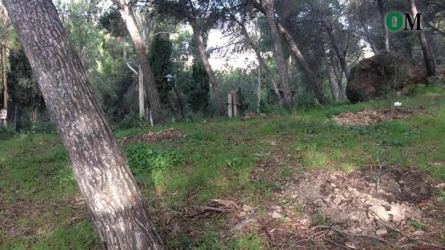 Comienza la reforestación del entorno del monte Gibralfaro