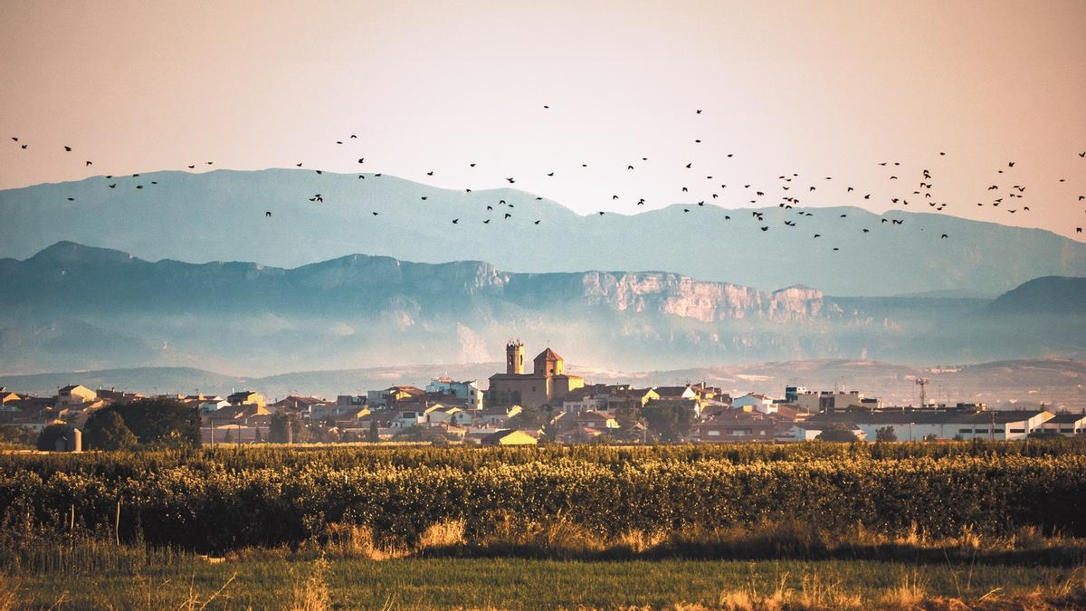 Urgell, la Toscana catalana que tiene su propia torre de Pisa