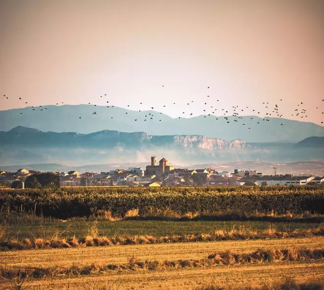 Urgell, la Toscana catalana que tiene su propia torre de Pisa