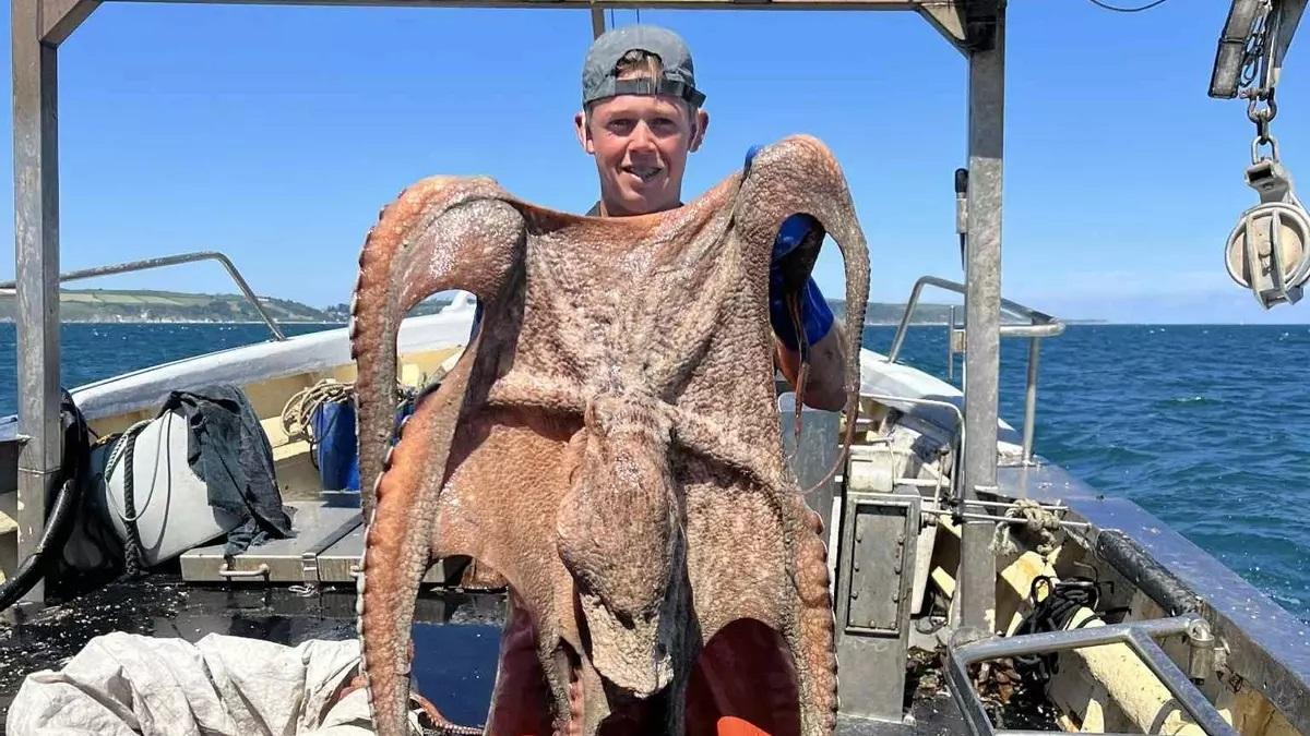 Un pescador del sur de Inglaterra con uno de los pulpos capturados.
