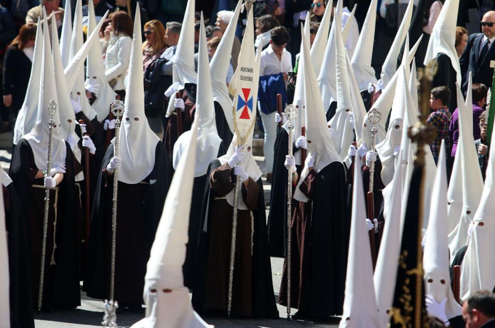 Domingo de Ramos | Dulce Nombre