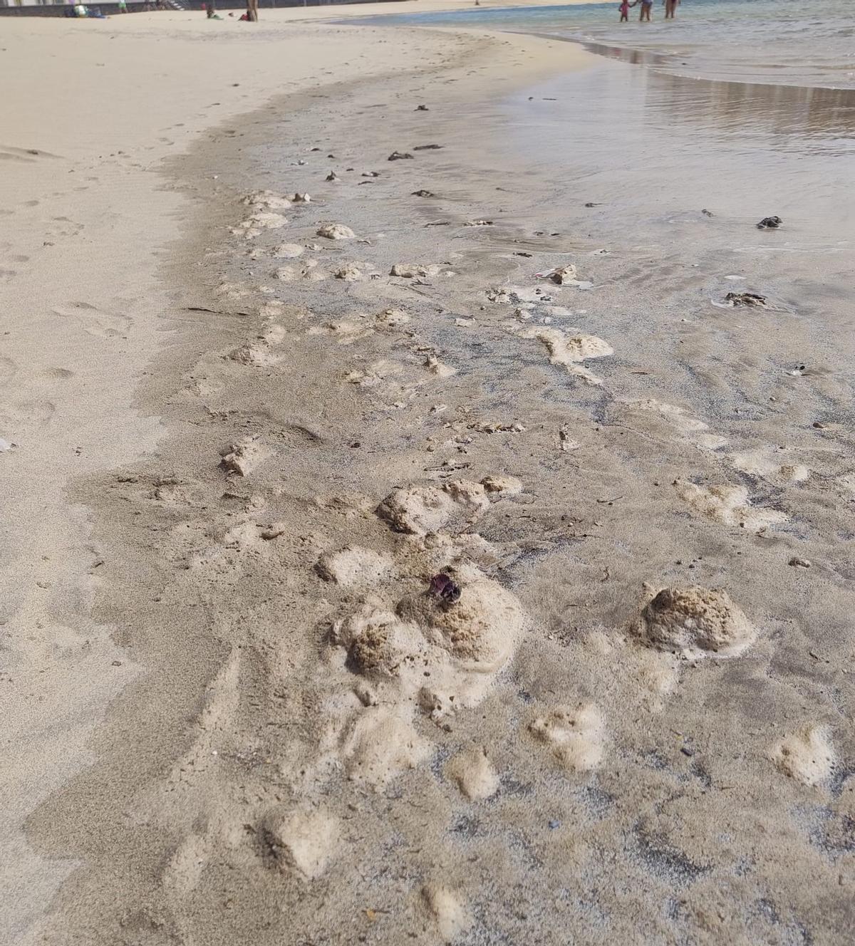Presencia de restos fecales el pasado fin de semana, en la playa de El Reducto, en Arrecife, donde Sanidad tomó muestras en la Punta del Camello, junto al aliviadero del Consorcio del Agua de Lanzarote