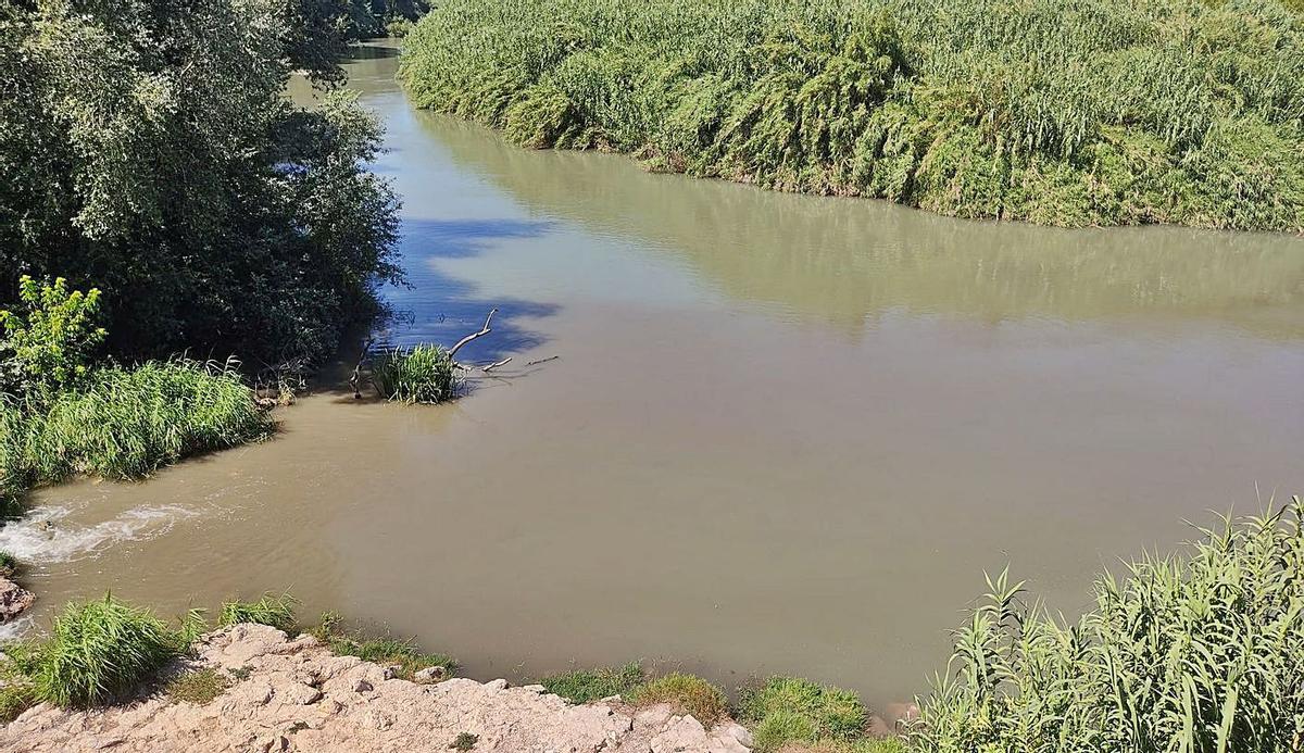 El caudal procedente del Barxeta cambia el color del agua del río en una imagen de julio. | XÚQUER VIU