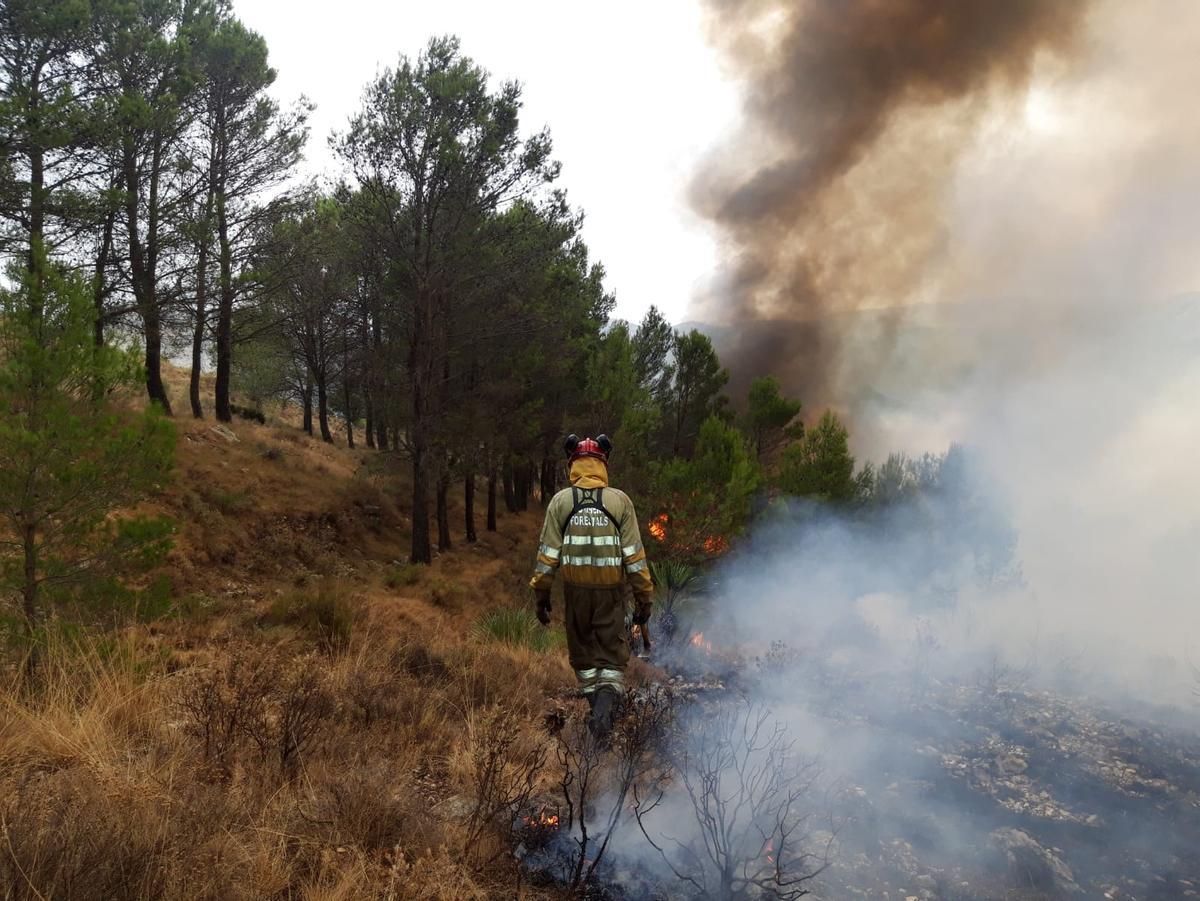 El incendio en el Palancia requirió el trabajo de muchos servicios de emergencias.