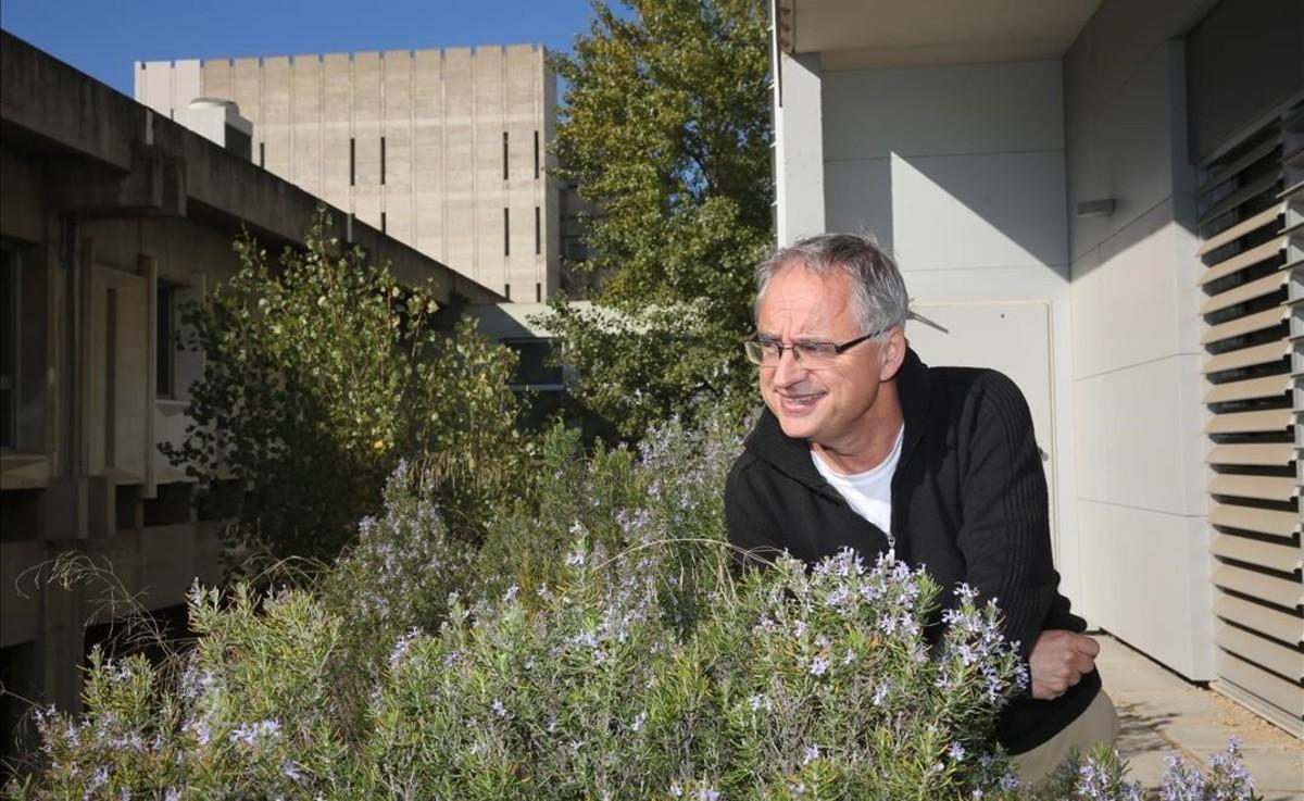 jjubierre36245385 bellaterra 11 11 2016 entrevista con josep pe uelas investig161113165812