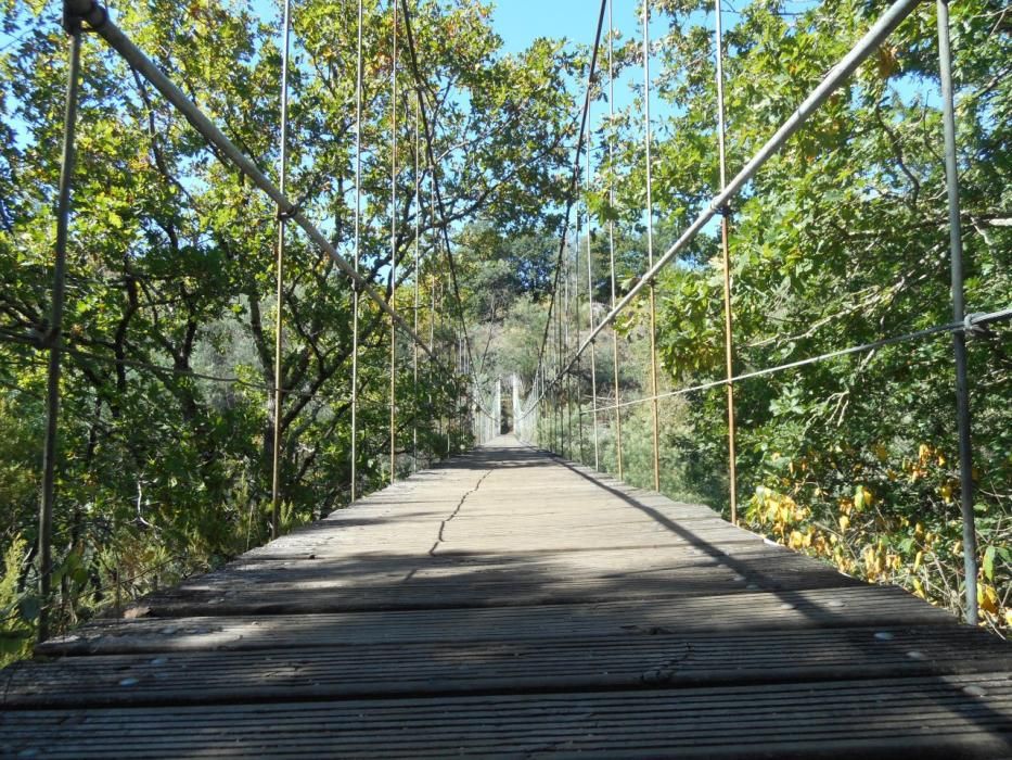 Puentes colgantes en Galicia | Así es la vertiginosa pasarela de Calvelo