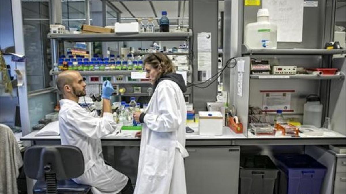 Dos de los 1.400 investigadores del Parc de Recerca Biomèdica de Barcelona.