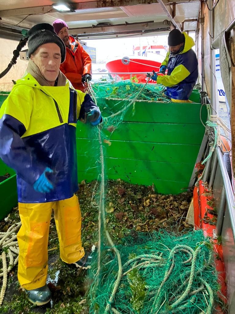 Descargas de centollo en el puerto de O Grove, esta tarde.