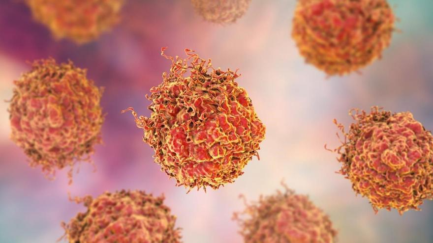 CRIS Contra el Cáncer financia una investigación p