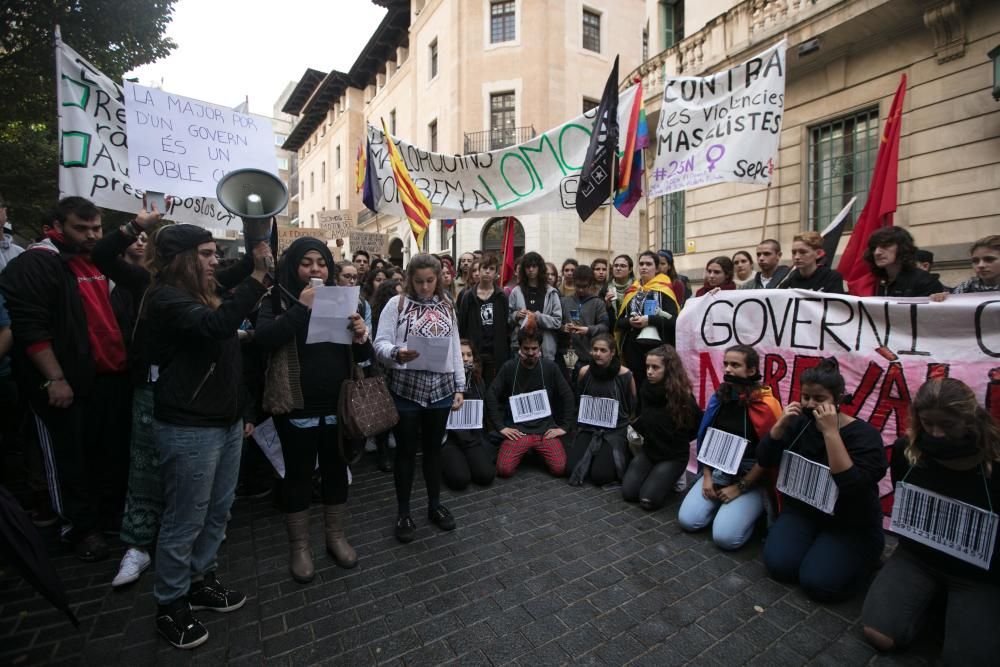 Medio millar de estudiantes vuelven a marchar contra la LOMCE